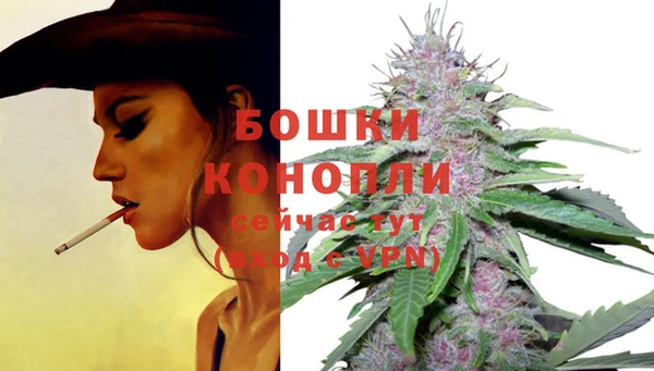 стафф Балабаново